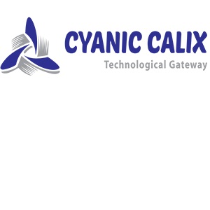 company list 1